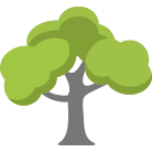 Peoria Tree Removal Service