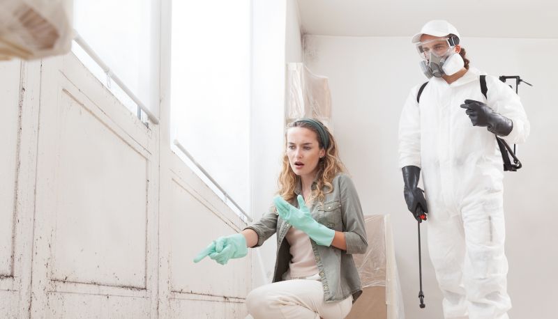 Smoke Remediation Service