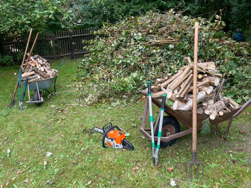 Cleanup and Debris Removal